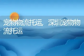 宠物物流托运，深圳宠物物流托运