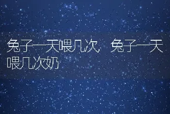 兔子一天喂几次，兔子一天喂几次奶