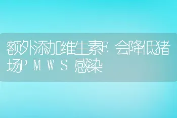 额外添加维生素E会降低猪场PMWS感染