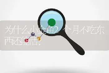 为什么小金鱼2个月不吃东西还能活？