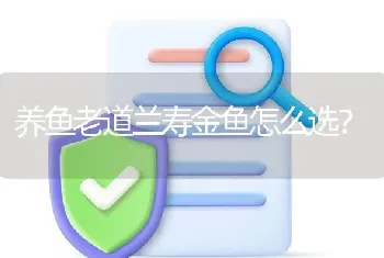 养鱼老道兰寿金鱼怎么选？