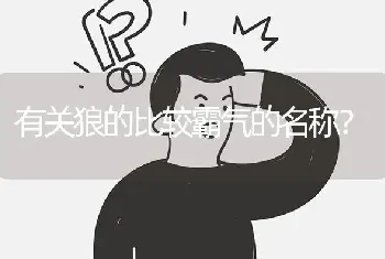 有关狼的比较霸气的名称？