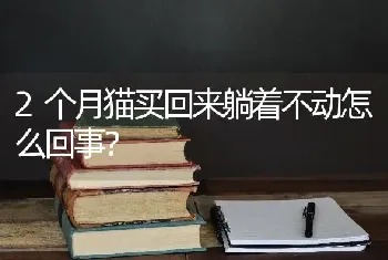 2个月猫买回来躺着不动怎么回事？