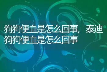 狗狗便血是怎么回事，泰迪狗狗便血是怎么回事