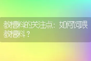 教槽料的关注点：如何饲喂教槽料？