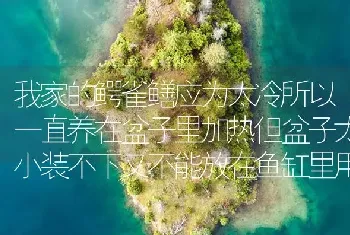 我家的鳄雀鳝应为太冷所以一直养在盆子里加热但盆子太小装不下又不能放在鱼缸里用加热棒，它几度死？