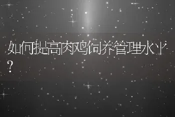 如何提高肉鸡饲养管理水平？