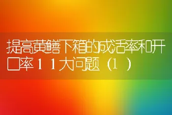 提高黄鳝下箱的成活率和开口率１１大问题（1）