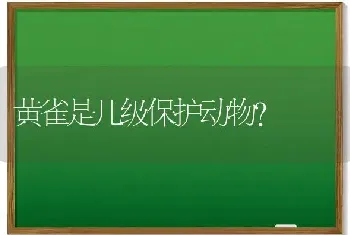 黄雀是几级保护动物？