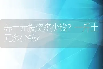 养土元投资多少钱？一斤土元多少钱？