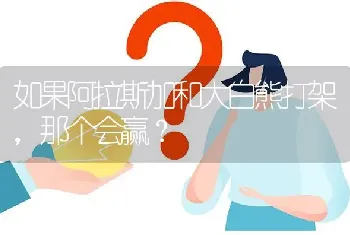 如果阿拉斯加和大白熊打架，那个会赢？