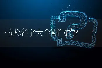 马犬名字大全霸气的？