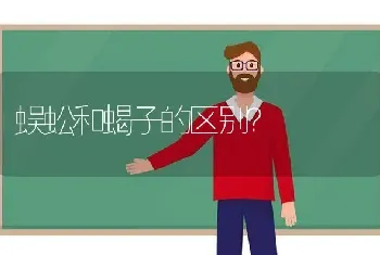 蜈蚣和蝎子的区别？