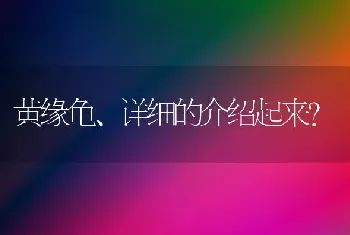 黄缘龟、详细的介绍起来？