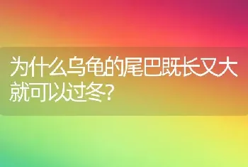 为什么乌龟的尾巴既长又大就可以过冬？