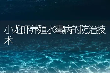 小龙虾养殖水霉病的防治技术