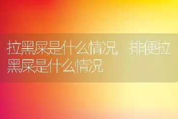 拉黑屎是什么情况，排便拉黑屎是什么情况