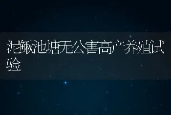 泥鳅池塘无公害高产养殖试验