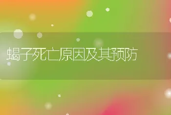 蝎子死亡原因及其预防