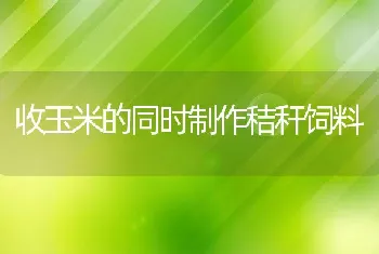 收玉米的同时制作秸秆饲料