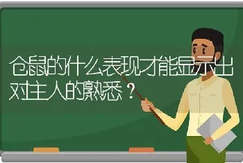 仓鼠的什么表现才能显示出对主人的熟悉？