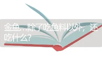 金鱼…除了吃鱼料以外，还吃什么？