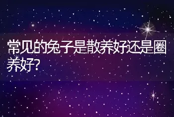 常见的兔子是散养好还是圈养好？