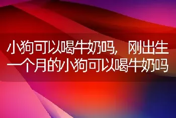 小狗可以喝牛奶吗，刚出生一个月的小狗可以喝牛奶吗