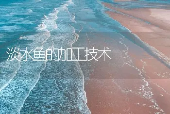 淡水鱼的加工技术