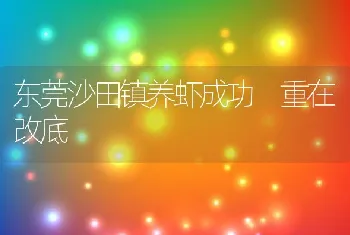 东莞沙田镇养虾成功重在改底