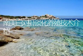 南美白对虾淡化养殖技术介绍