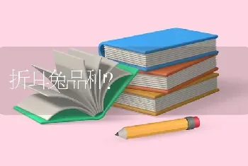 折耳兔品种？