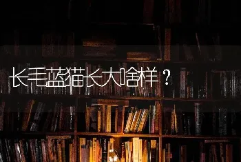 5斤拉布拉多吃什么狗粮？