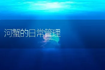 河蟹的日常管理