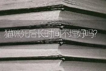 猫咪死后长时间不埋好吗？