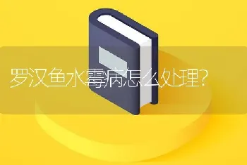 罗汉鱼水霉病怎么处理？