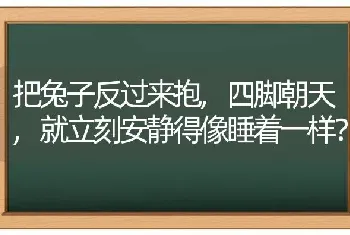 把兔子反过来抱,四脚朝天,就立刻安静得像睡着一样？