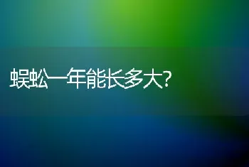 蜈蚣一年能长多大？