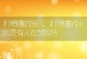 打喷嚏的原因，打喷嚏的原因是有人在想我吗