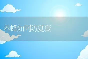 养蜂如何防夏衰