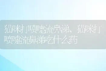 猫咪打喷嚏流鼻涕，猫咪打喷嚏流鼻涕吃什么药