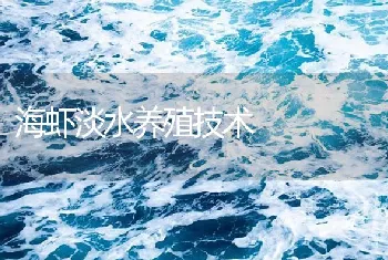 海虾淡水养殖技术