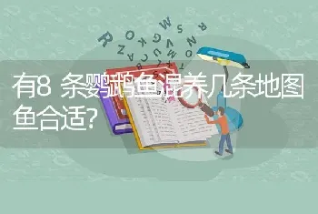 有8条鹦鹉鱼混养几条地图鱼合适？