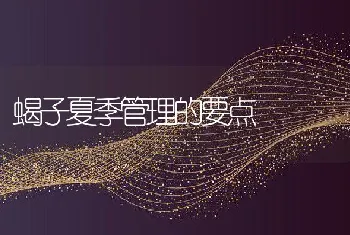 蝎子夏季管理的要点