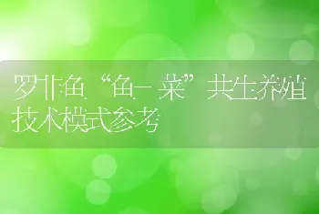 罗非鱼“鱼-菜”共生养殖技术模式参考