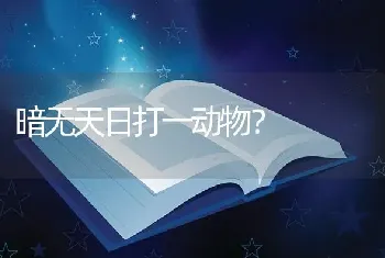 暗无天日打一动物？