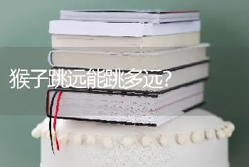 猴子跳远能跳多远？