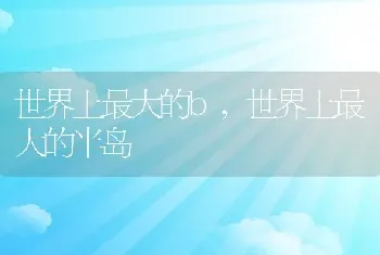 狼青幼犬200元，狼青幼犬200元出售在哪