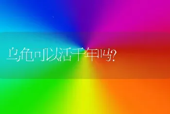 乌龟可以活千年吗？