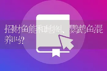 招财鱼能和地图、鹦鹉鱼混养吗？